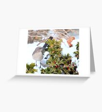 Mockingbird and Holly Greeting Card