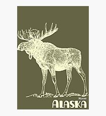 Moose Photographic Print