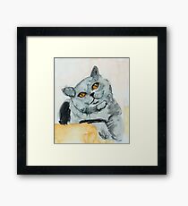 Fat Cat Framed Print