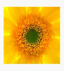 Staring At The Sun II Photographic Print