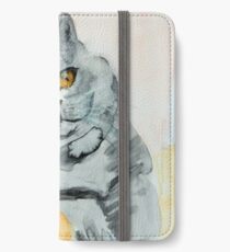 Fat Cat iPhone Wallet/Case/Skin