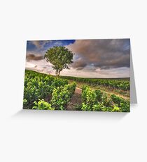 Champagne Greeting Card