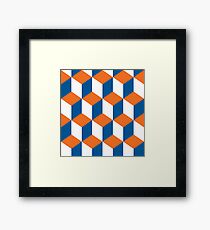 Florida Gainesville - Qbert Framed Print