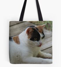 Take my picture-See If I Care! Tote Bag