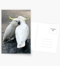 Snuggles Postcards