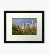 Fence Framed Print