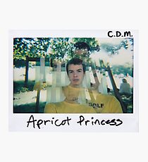 princess polaroid Photographic Print