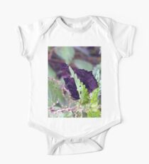 Photo macro shot butterfly peacock butterfly One Piece - Short Sleeve