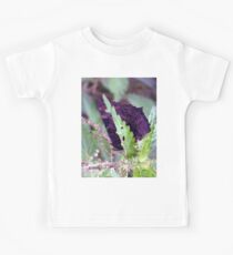 Photo macro shot butterfly peacock butterfly Kids Tee