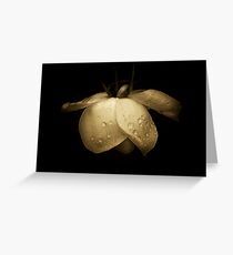 Midas touch . . . Greeting Card