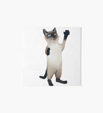 Lámina rígida Gato siames