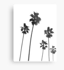 Lienzo metálico Palm Trees