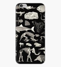 Paleontology Illustration iPhone Case