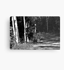 Through the Birches Metal Print