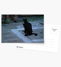 Two Postcards