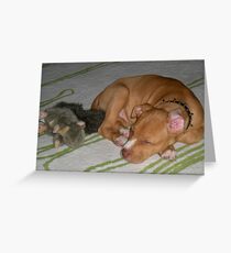 sleepy time Greeting Card