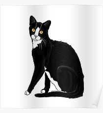 Tuxedo Cat Poster