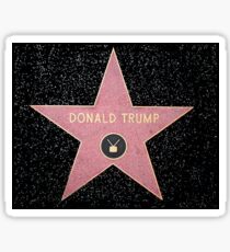 Donald Trump - Star Sticker