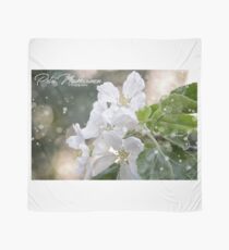 Apple tree Scarf