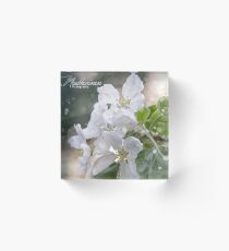 Apple tree Acrylic Block