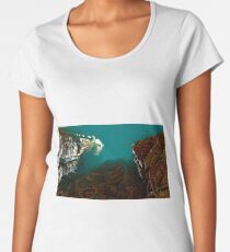 Arid canyon fractal landscape Women's Premium T-Shirt