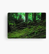 Nikko, Japan...Japanese green Canvas Print