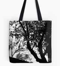 Co2 Tote Bag