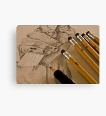 Pencil Sketching Canvas Print