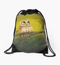 Hand painted owl Drawstring Bag