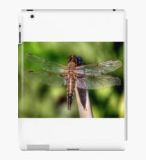 Translucent iPad Case/Skin