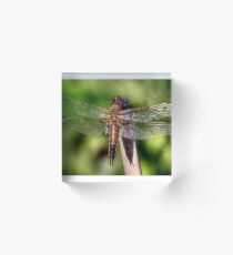 Translucent Acrylic Block