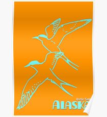 Arctic Tern Poster