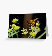 Skipper Greeting Card