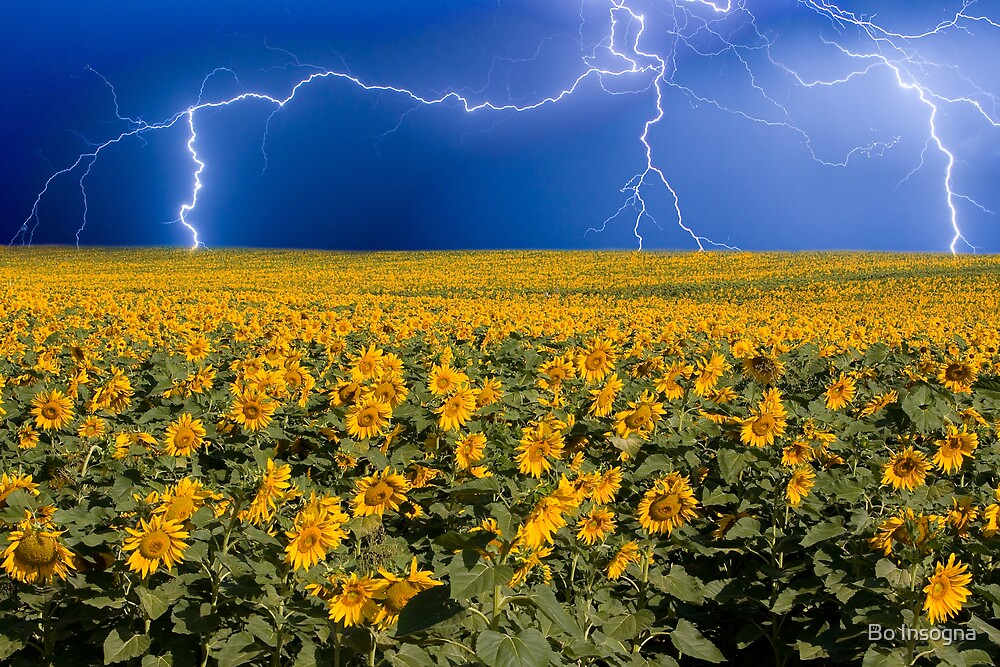 Storm On The Sunflower Field Horizon By Bo Insogna Redbubble