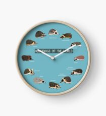 Hedgehogs of the World Clock