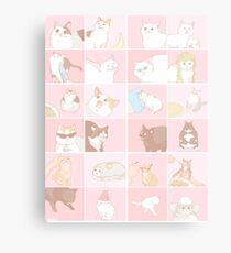 Meme cats Canvas Print