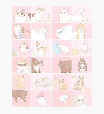 Meme cats Photographic Print