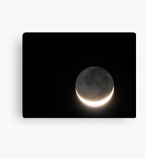 Moony Canvas Print