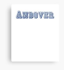 Andover Metal Print