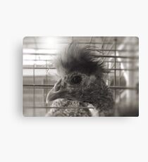 "Lil Elvis, The King of Cock and Crow"... prints and products Canvas Print