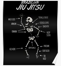 Anatomy bjj Brazilian Jiu Jitsu Martial Arts Poster