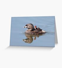 "Mom!...Timmy won't move over!" Pied-billed grebes Greeting Card