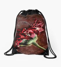 Red Dishevelled Drawstring Bag