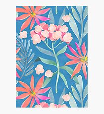 Hortensia Photographic Print