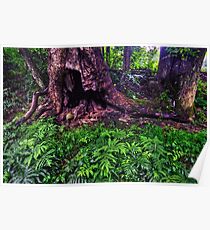 Verzauberte Wälder, 2018.07.17 Poster