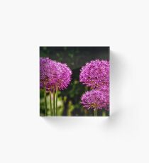 Allium Flowers Acrylic Block