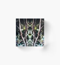 Morphic Resonance Two Acrylic Block