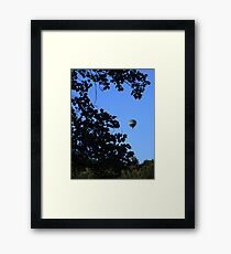 Frame of Mind..,. Framed Print