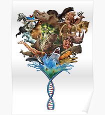 Die Spirale des Lebens Poster