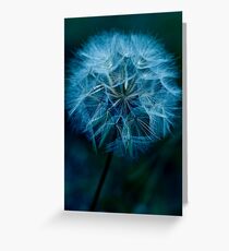 Soft'n Blue Grußkarte